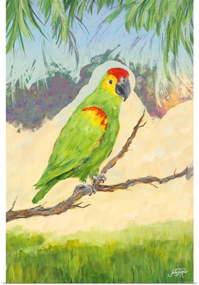 Tropic Bird in Paradise II