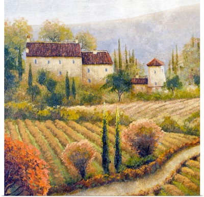 Tuscany Vineyard I