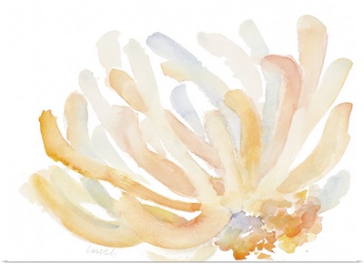 Watercolor Coral