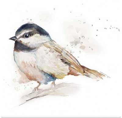 Watercolor Mountain Bird II