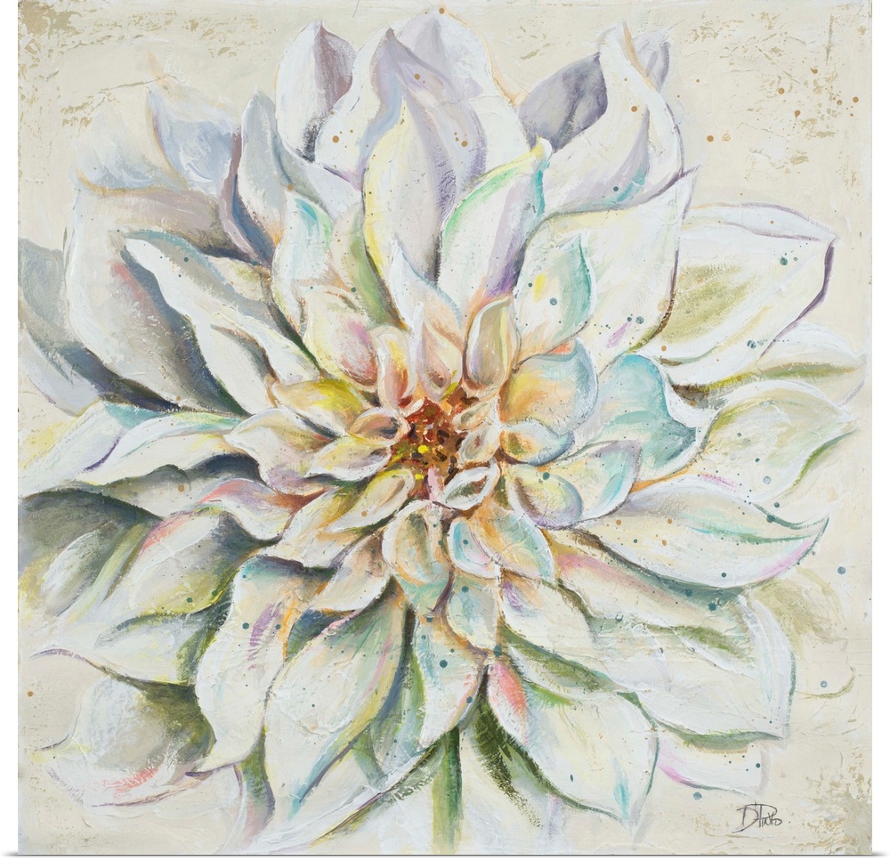 Decorative artwork of a dahlia flower with several pointed petals.