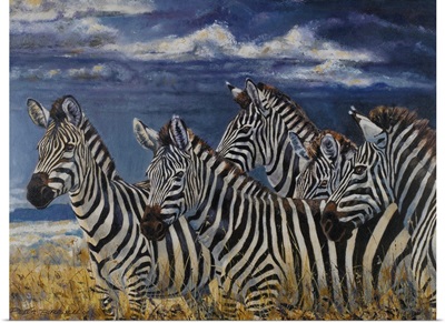 Zebras I