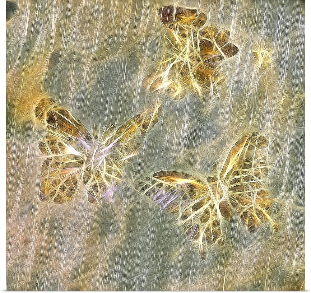 Square art with think lines intertwining together to create three flying butterflies in shades of gold, cream, and silver ...