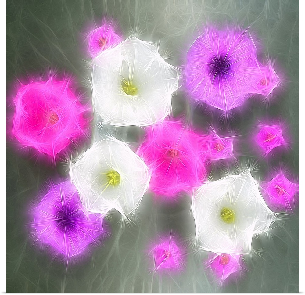 Square digital illustration of pink, purple, and white flowers on a gray background.
