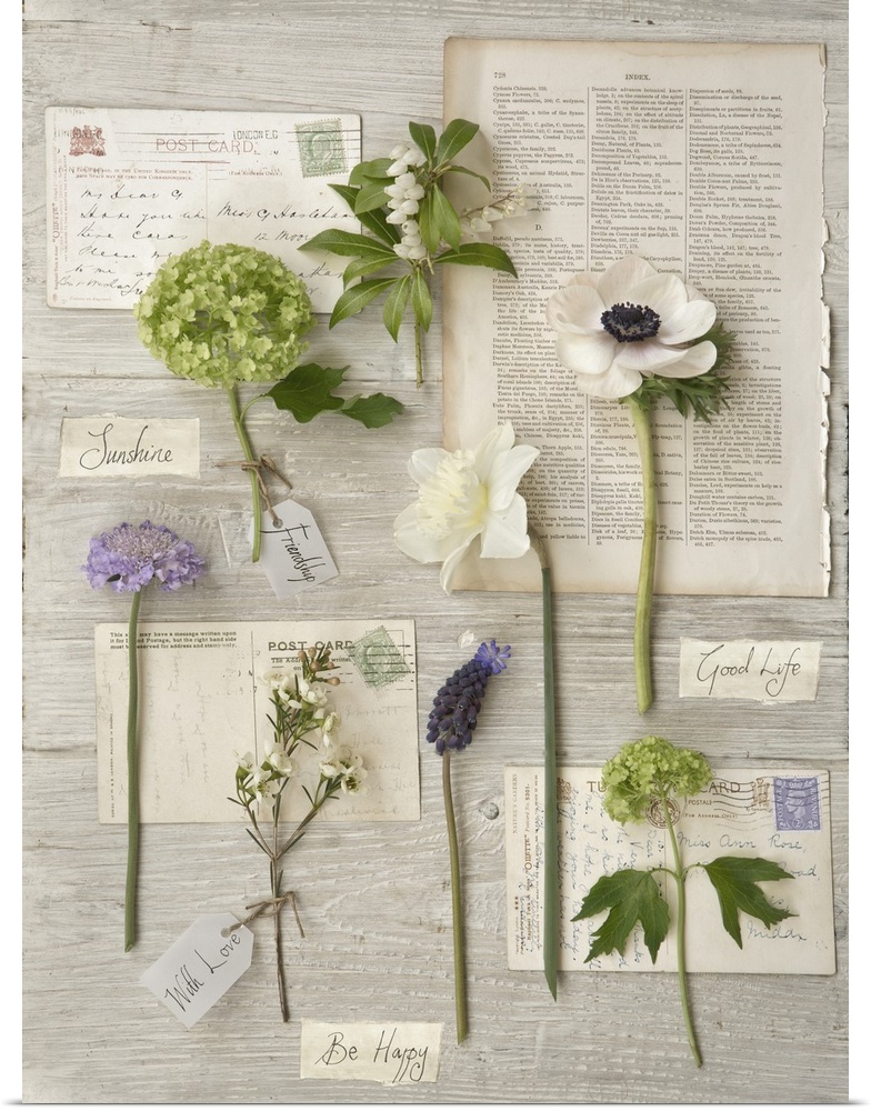 Photograph of different floral plants laying on letters and other documents.