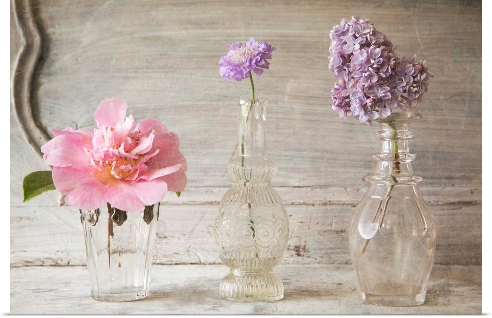 Photograph of different flowers in a small glass vases, against a vintage wall.