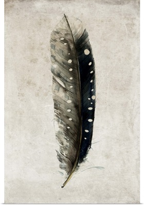 Feather II