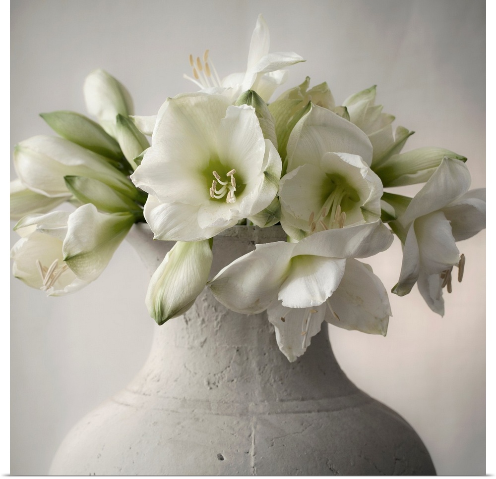 A large bouquet of white flowers in a large stone vase.