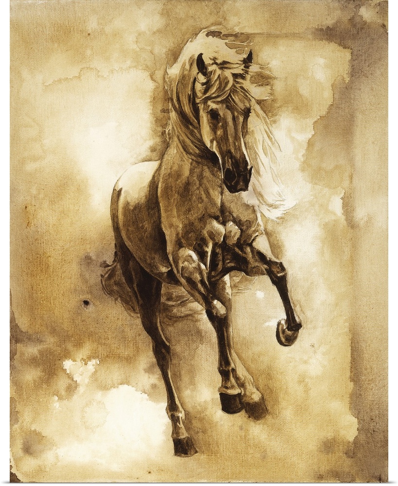 Baroque Horse Series III:II