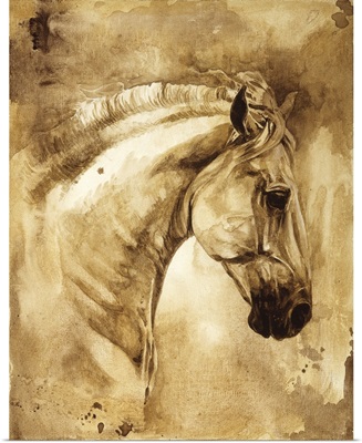 Baroque Horse Series III:III