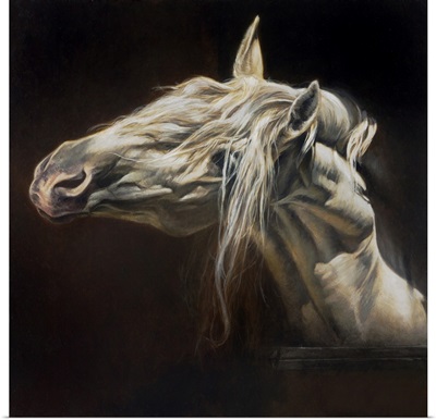 Equus I:IV