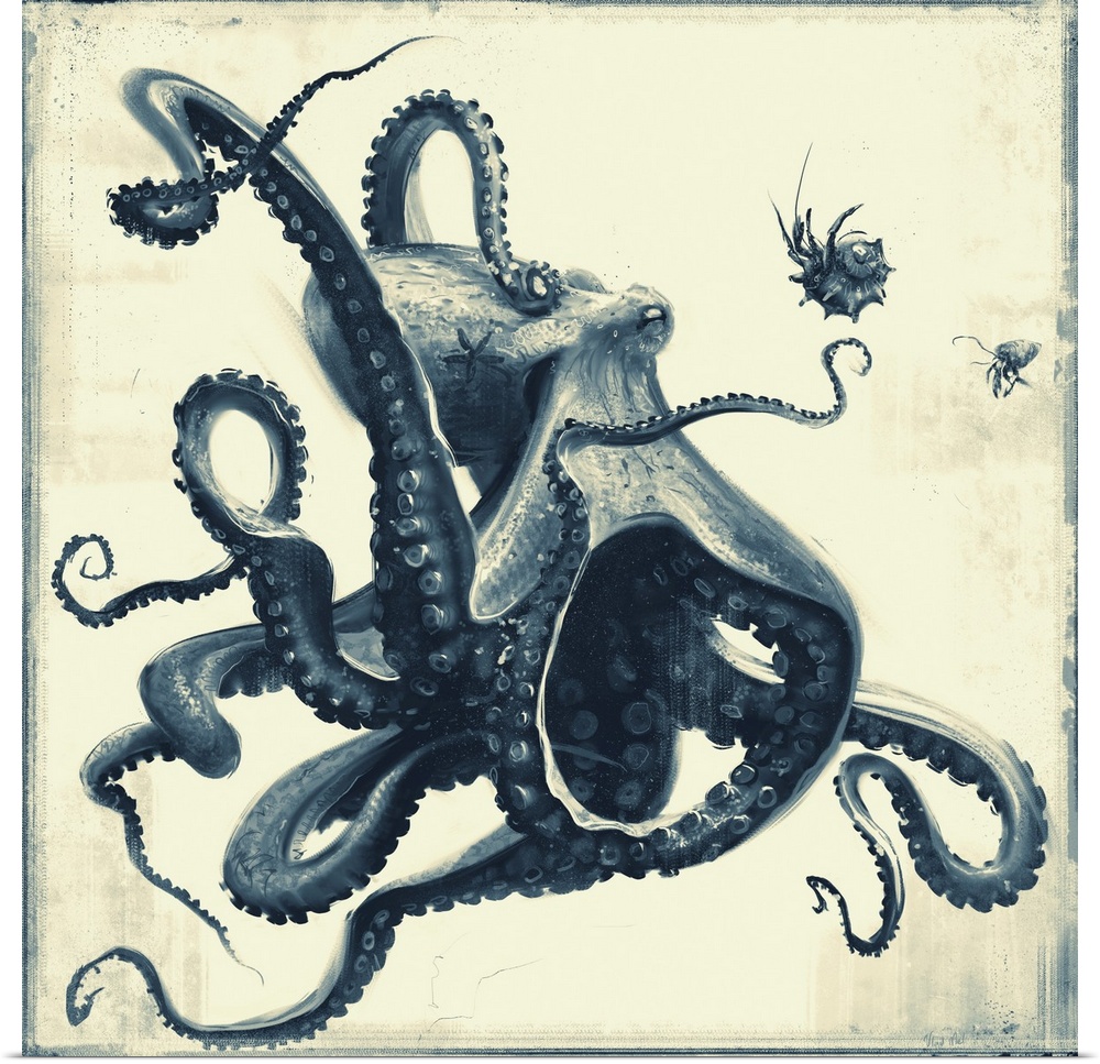 Monochrome painting of an octopus playing with shellfish.