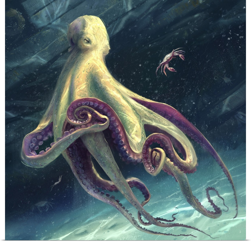 Painting of an octopus ready to eat crab.