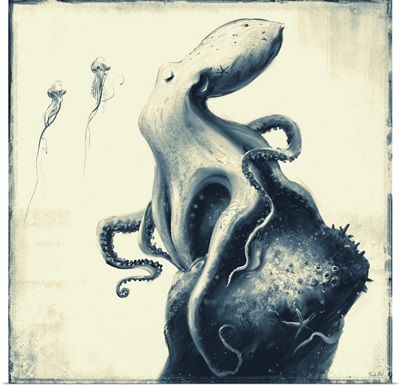 Octopus - Sleep - Monochrome