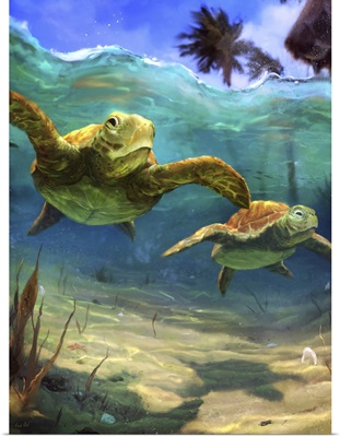 Turtles Underwater