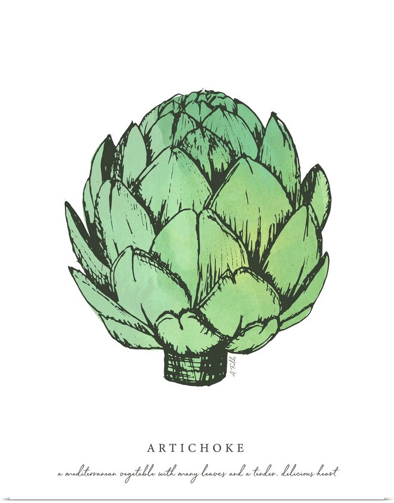 Watercolor and Ink painting of artichokes.