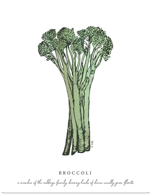 Broccoli Kitchen Print