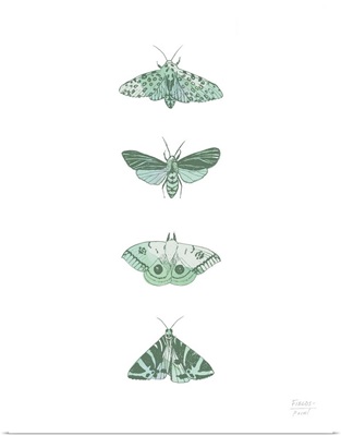 Four Moths