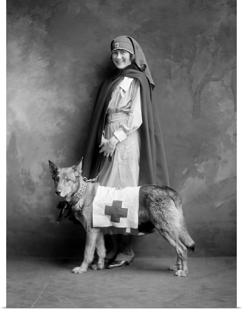 A woman in a Red Cross uniform with a rescue dog. Photograph, c1916.