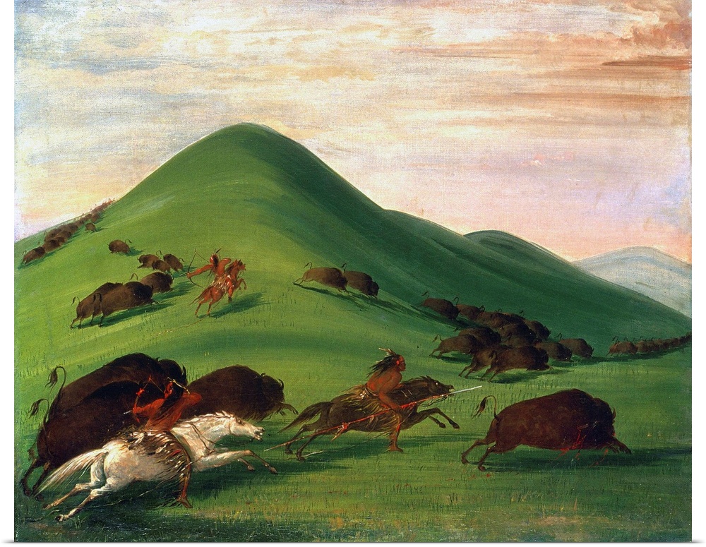 Buffalo Hunt, 1830S. With Bows And Lances, Comanche. Canvas By George Catlin, 1830-39.