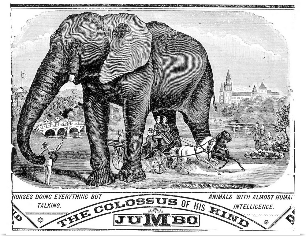 Circus Handbill, C1884. Jumbo the Elephant Featured On An American Handbill For Barnum, Bailey And Hutchinson Circus. Wood...
