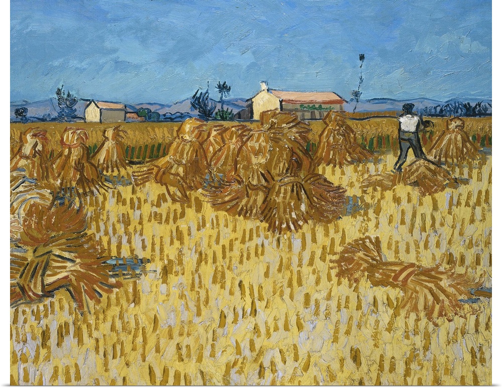 Van Gogh, Corn Harvest. 'Corn Harvest In Provence.' Oil On Canvas, Vincent Van Gogh, 1888.