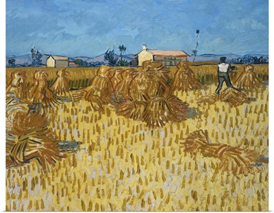 Corn Harvest In Provence, 1888