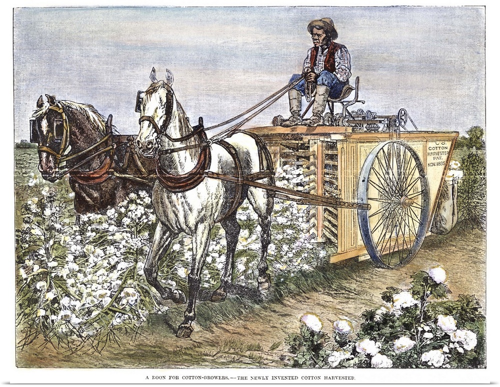 Cotton Harvester, 1886. A Field Hand In the American South Harvesting Cotton With An Early Mechanical Harvesting Machine. ...