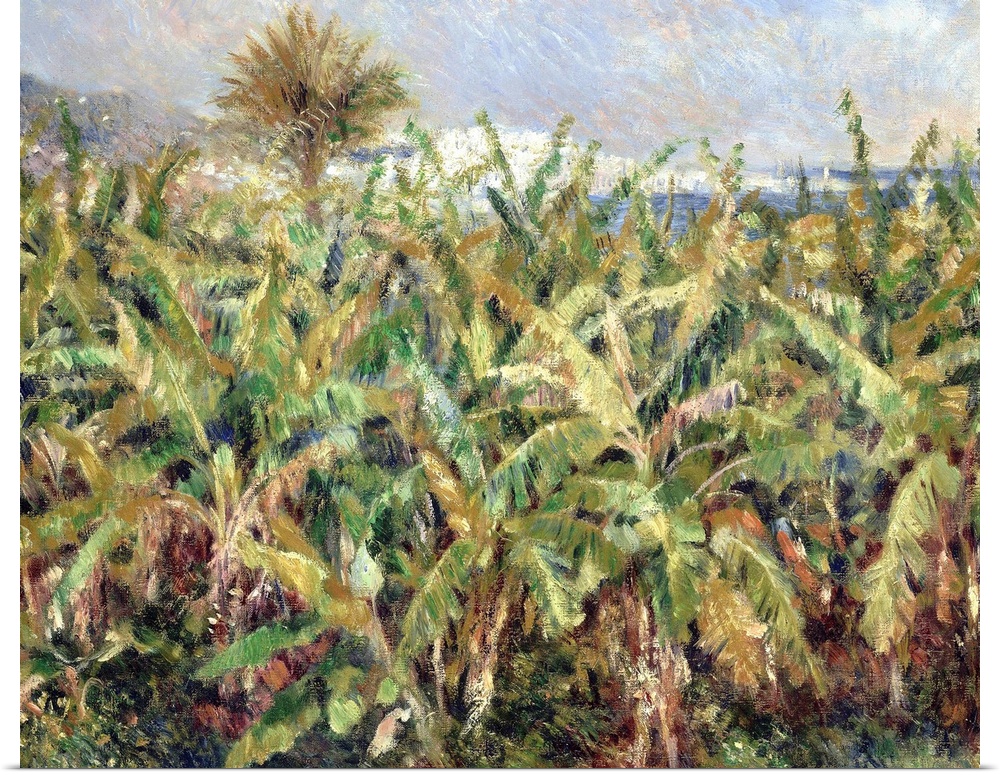 Renior, Banana Trees, 1881. 'Field Of Banana Trees.' Oil On Canvas, Pierre-Auguste Renoir, 1881.