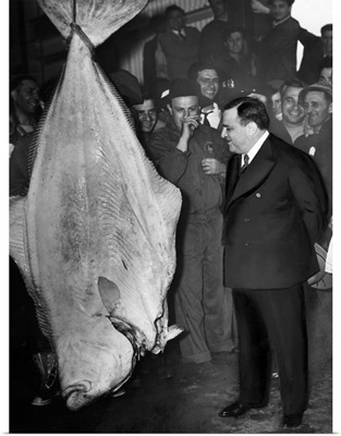 Fiorello Henry La Guardia, mayor of New York City, with a 300 lb. halibut.