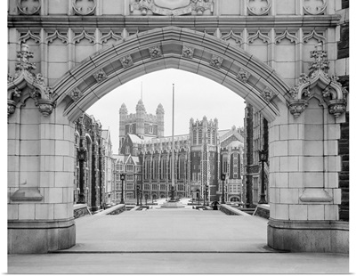 Gate at the entrance of The College of the City of New York, 1905