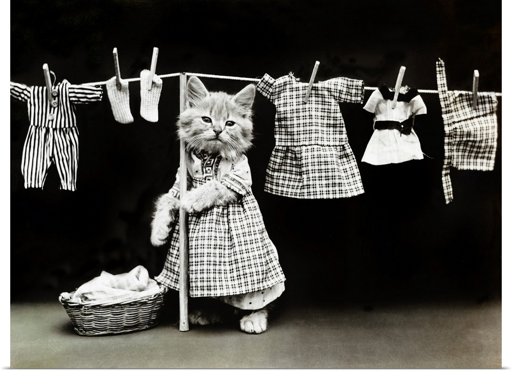 Frees, Kittens, C1914. 'Hanging Up the Wash.' Photograph By Harry Whittier Frees, C1914.