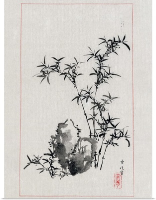 Japan, Bamboo, 1878