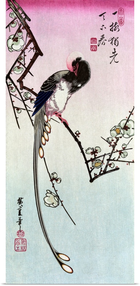 Magpie, 19th Century. Magpie And Plum Blossom. Color Woodcut By Ando Hiroshige, Mid-19th Century.