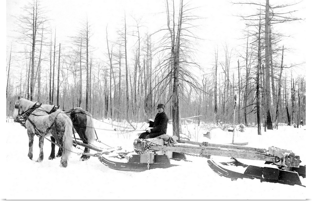 Michigan, Lumbering. A Lumberjack Logging With Horsedrawn Sled During the Winter In Michigan. Photograph, c1880-1899.