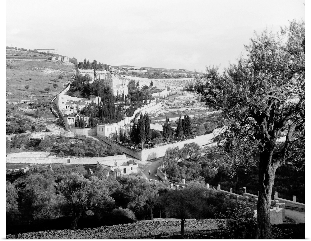 Mount Of Olives. Bird's Eye View From the South Of the Mount Of Olives, East Jersusalem. Photograph, C1898-1910.