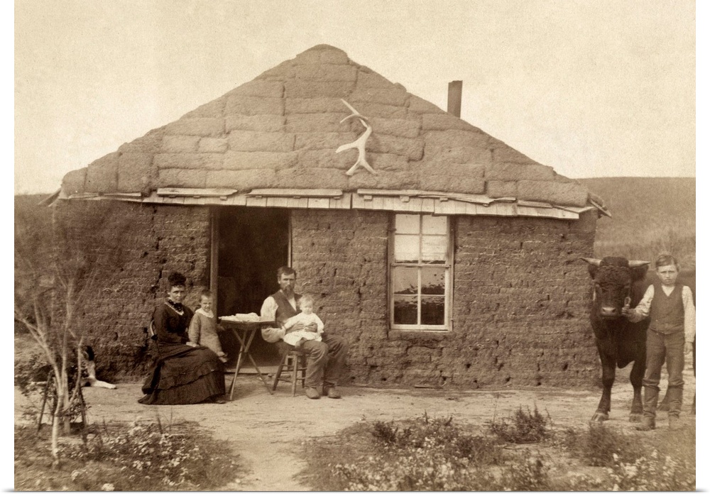 Nebraska, Settlers, C1886. Family Of Homesteaders, Photographed Outside Of their Sod House With A Boy Holding A Bull By A ...