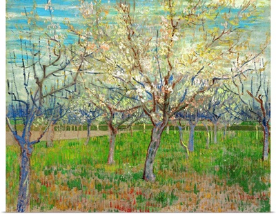 Orchard, 1888