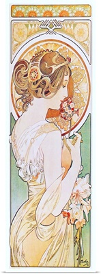 Primrose, 1899