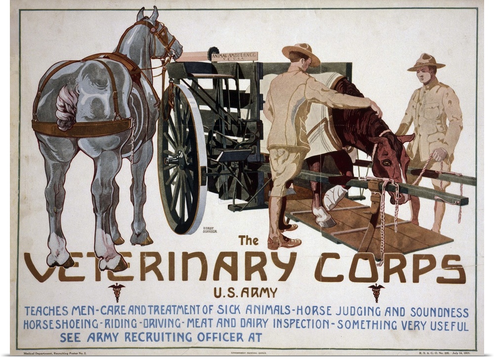 Recruiting poster advertising the Veterinary Corps of the U.S. Army. Lithograph by Horst Schreck, 1919.