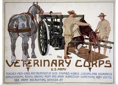 Recruiting poster advertising the Veterinary Corps of the U.S. Army, 1919