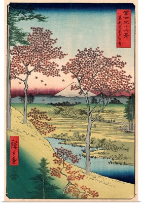 Red Maple Trees At Sunset Hill, Meguro, Tokyo, 1858
