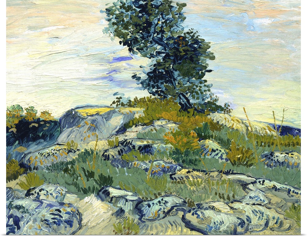 Van Gogh, Rocks, 1888. 'Rocks With Oak Tree.' Oil On Canvas, Vincent Van Gogh, July 1888.