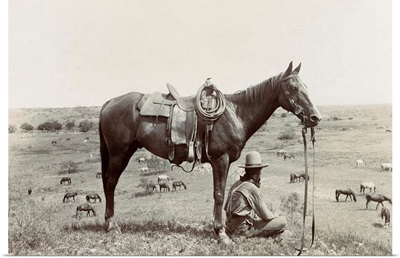 Texas, Cowboy, c1910