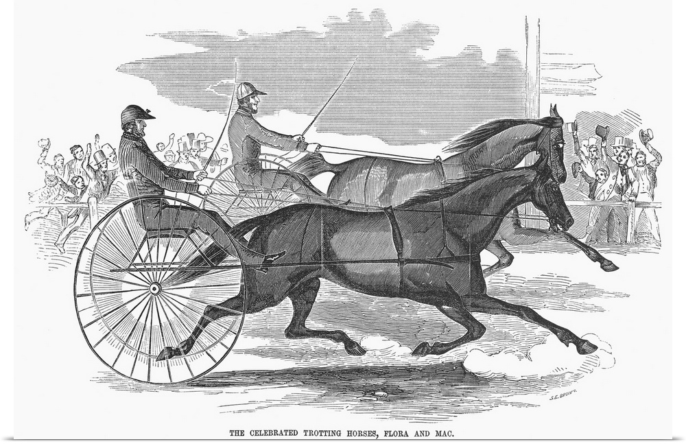 Trotting Horses, 1854. The Celebrated Trotting Horses Flora And Mac. Wood Engraving, 1854.