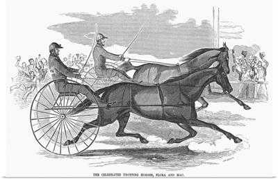 The Celebrated Trotting Horses Flora And Mac, 1854