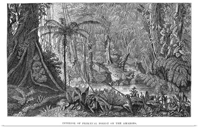 The Naturalist On the River Amazons, 1863