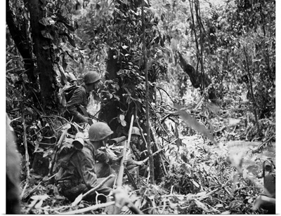 World War II: New Guinea
