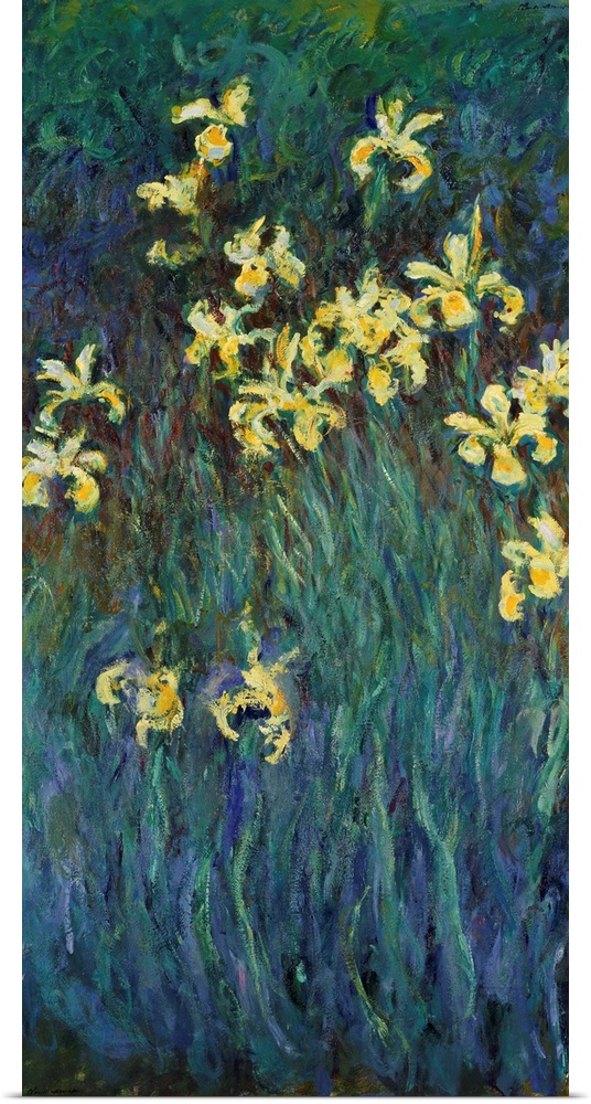 Monet, Yellow Irises. Oil On Canvas, Claude Monet, C1915.