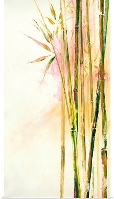 Bamboo III